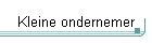 Kleine ondernemer